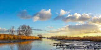 PROMISCES-studie - foto rivier Oost Nederland