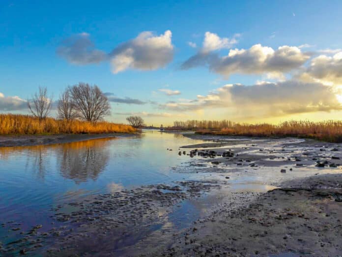PROMISCES-studie - foto rivier Oost Nederland