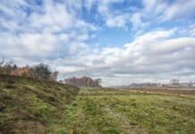 Dijk van gebiedseigen grond foto Steilranddijk