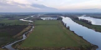 Aanbesteding van onderhoudscontracten - foto uiterwaarden IJssellandschap