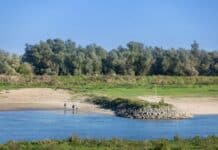 Pannerdensch Kanaal - foto van een krib