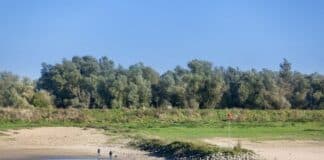 Pannerdensch Kanaal - foto van een krib