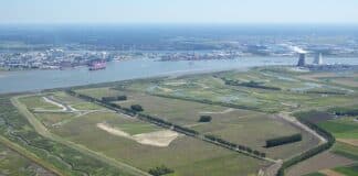 Hedwigepolder