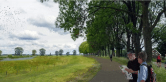 HHNK - dijklandschap met wandelaars