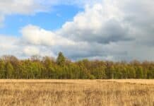 AERIUS - Natura 2000-gebied Wijnjeterper Schar in Friesland