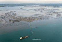 Roggenplaat in de Oosterschelde