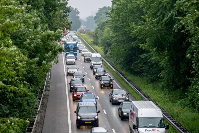 File A79