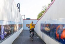 Station Koog aan de Zaan hellingbaan