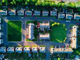 In tegenstelling tot veel fysieke infrastructuur, die jaarlijks in waarde afneemt, groeit de waarde van een boom juist mee met zijn ontwikkeling. 